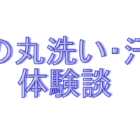 着物の丸洗い汗取り