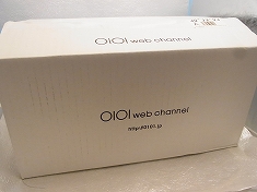 大きなサイズ靴19