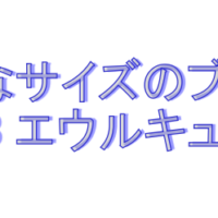 大きなサイズのブランドeur3