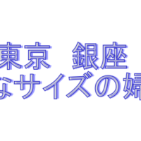 銀座大きなサイズ靴