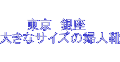 銀座大きなサイズ靴