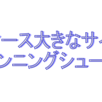 大きなサイスのランニングシューズ