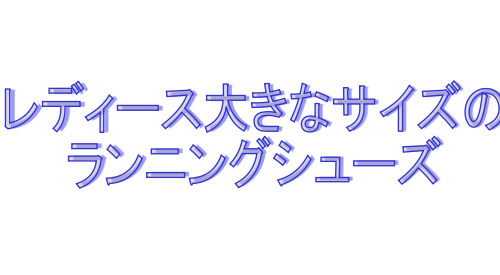 大きなサイスのランニングシューズ
