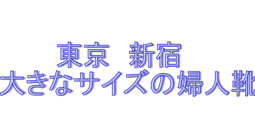 大きなサイズの婦人靴