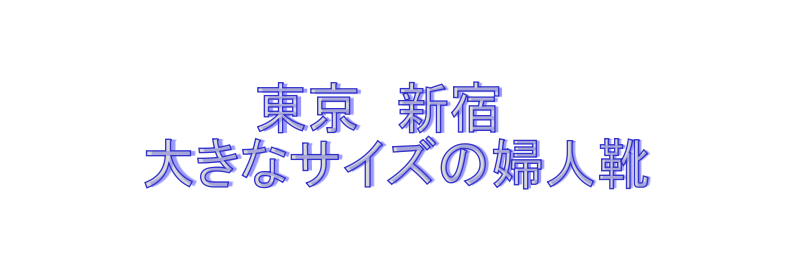 大きなサイズの婦人靴