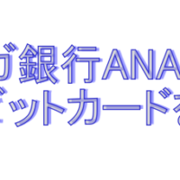 スルガ銀行Visaデビットカード