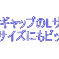 GAPのLサイズ