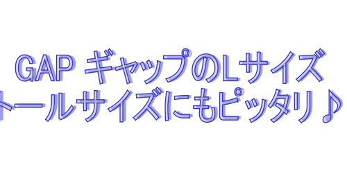 GAPのLサイズ