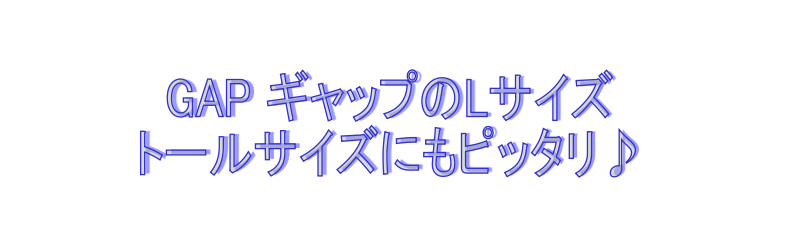 GAPのLサイズ