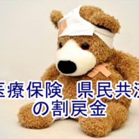 県民共済割戻金