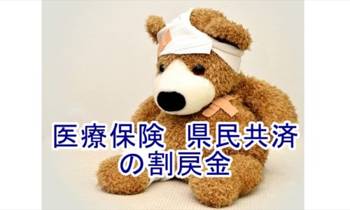 県民共済割戻金