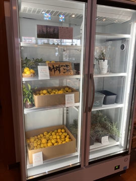 薬草　ハーブ　恵みの湯