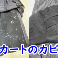 羊革スカートのカビをエマールで洗濯