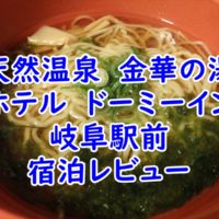 天然温泉　金華の湯 　ホテル　ドーミーイン　岐阜駅前
