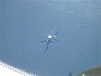 車のフロントガラスの傷