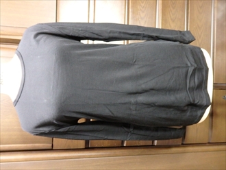 ワークマンのメリノウール50%の丸首長袖