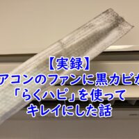 【実録】エアコンのファンに黒カビが！「らくハピ」を使ってプロを頼まずにここまでキレイにした話