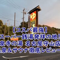【コスパ最強】スーパー銭湯発祥の地！竜泉寺の湯 名古屋守山店の温泉＆サウナ徹底レビュー！女性に嬉しい美肌泥パックや岩盤浴フォレストヴィラも紹介