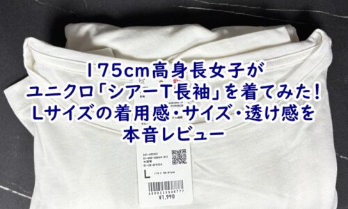 175cm高身長女子がユニクロ「シアーT長袖」を着てみた！Lサイズの着用感・サイズ・透け感を本音レビュー