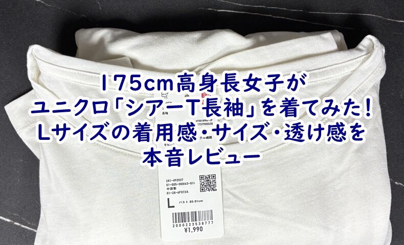 175cm高身長女子がユニクロ「シアーT長袖」を着てみた！Lサイズの着用感・サイズ・透け感を本音レビュー
