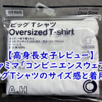 【175cm高身長女子レビュー】ファミマ「コンビニエンスウェア」長谷川昭雄コラボ・ビッグTシャツのサイズ感と着用感