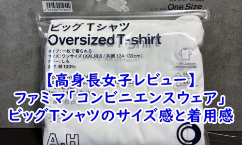 【175cm高身長女子レビュー】ファミマ「コンビニエンスウェア」長谷川昭雄コラボ・ビッグTシャツのサイズ感と着用感