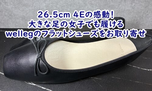 26.5cm 4Eの感動！大きな足の女子でも履けるwelleg（ウェレッグ）のフラットシューズをお取り寄せ
